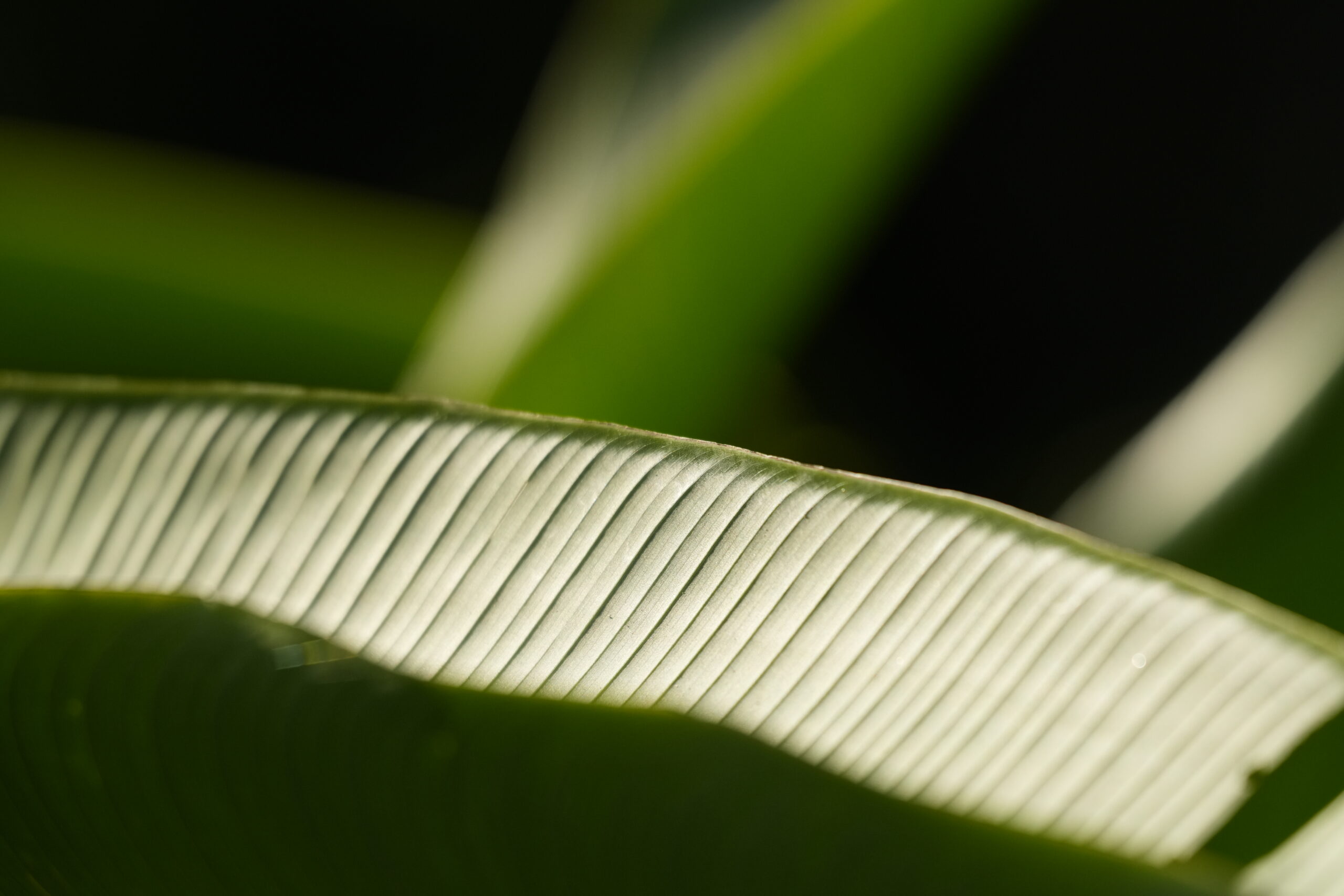 _DSC9846